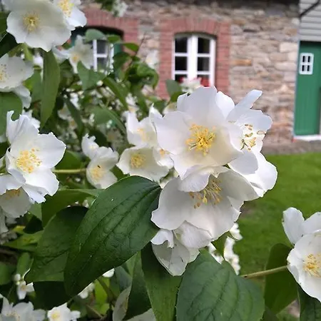 Semesterbostad Altes Backhaus Montenau *